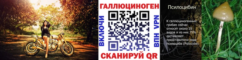 Купить  Белая Калитва  Псилоцибиновые грибы MAGIC MUSHROOMS 